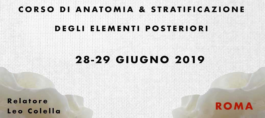 Corso di anatomia e stratificazione degli elementi posteriori - Roma - 28-29 Giugno 2019